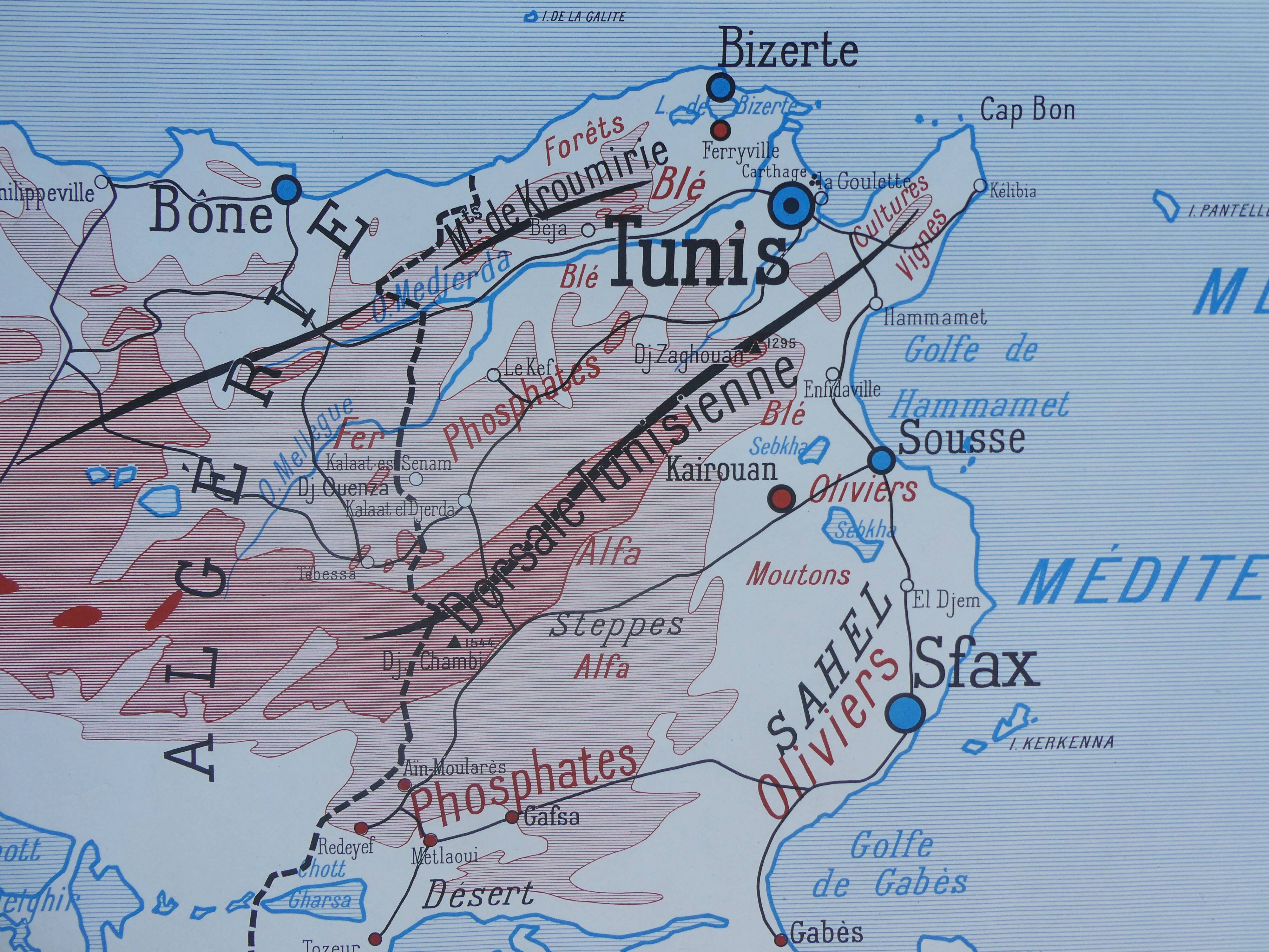 Old poster-school map Rossignol year 50 Tunisia, Algeria