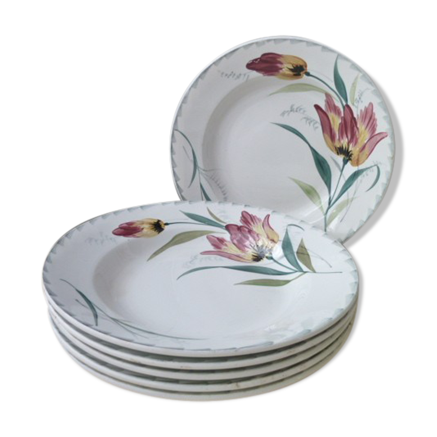 Set of 6 hollow plates in Earthenware of St Amand Hamage