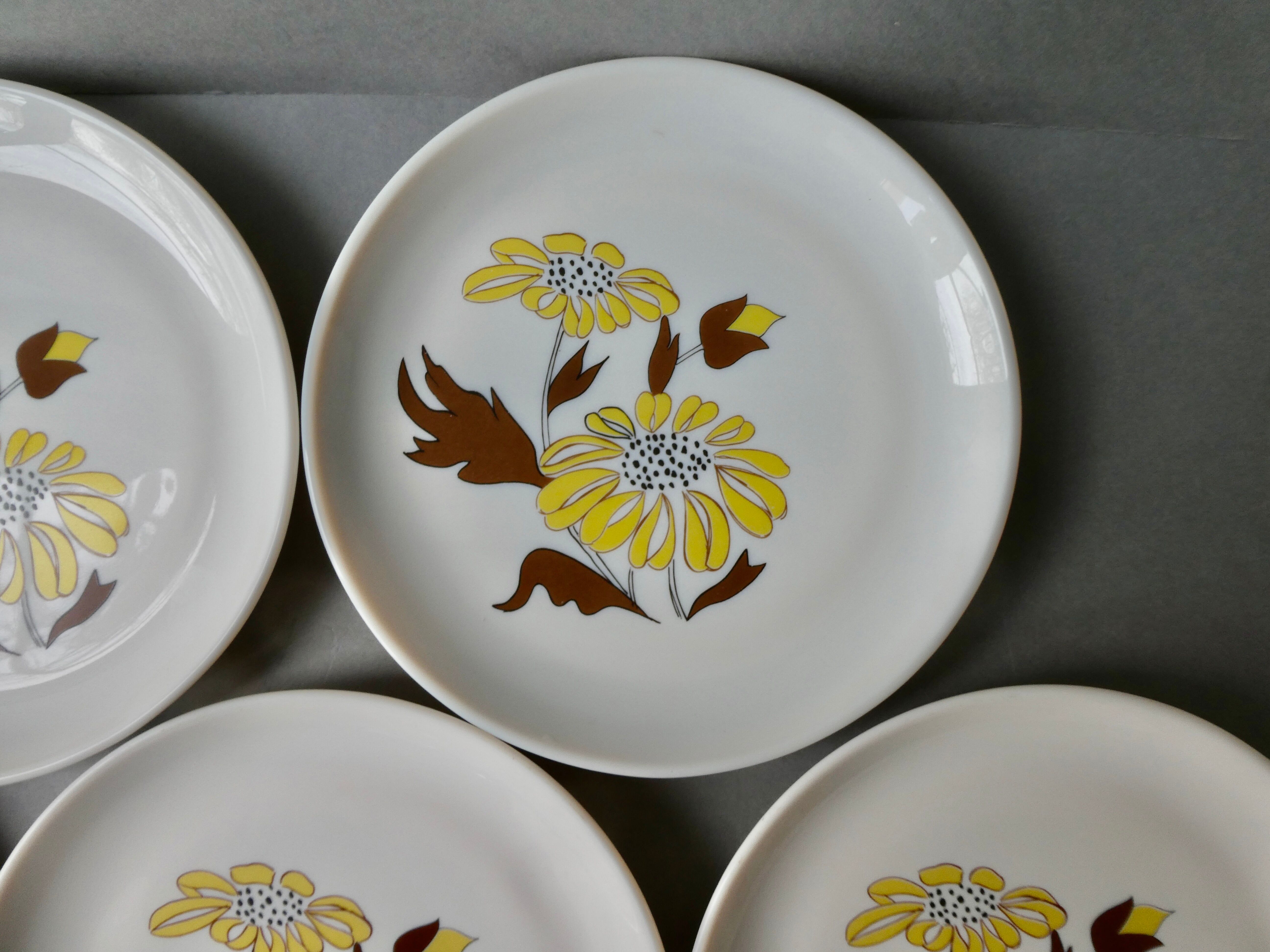 Set of 5 plates Sovirel France 70s