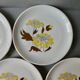 Set of 5 plates Sovirel France 70s