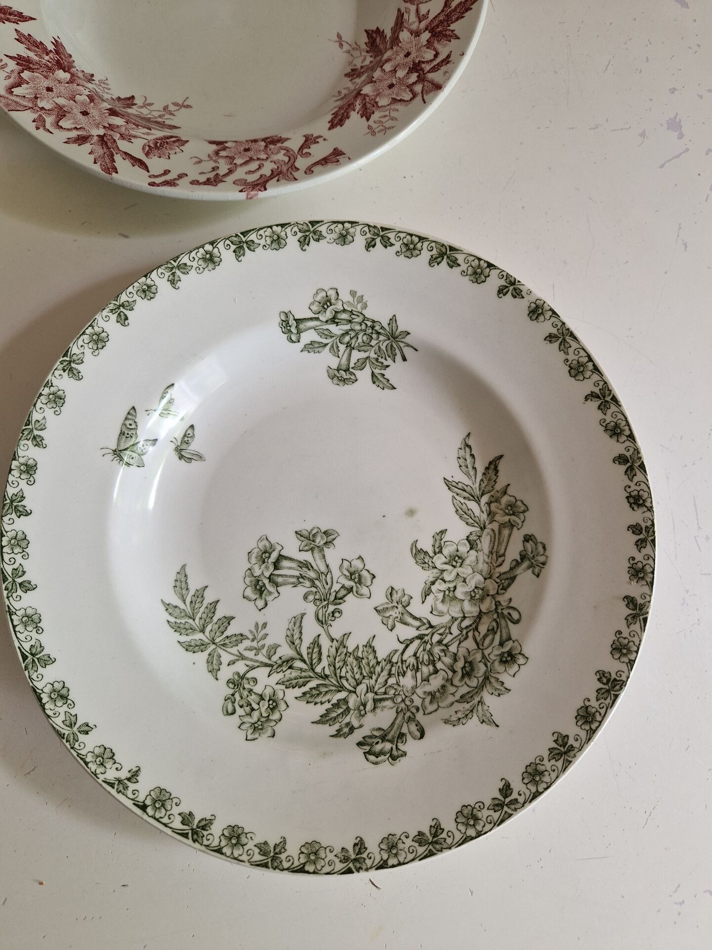 Set of 6 Deep Plates Saint Amand Terre De Fer Anemone Model Den