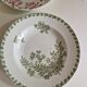 Set of 6 Deep Plates Saint Amand Terre De Fer Anemone Model Den