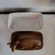 Large doe / deer / roe deer terrine
