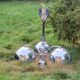 Italian design chandelier in chrome metal 3 lights Rolly 1973
