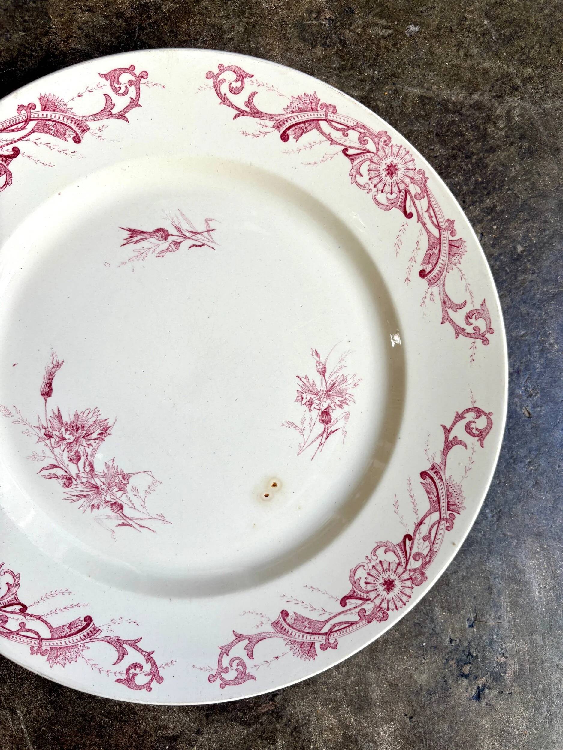 Plat rond Creil & Montereau en terre de fer rose, service "Centaurée"