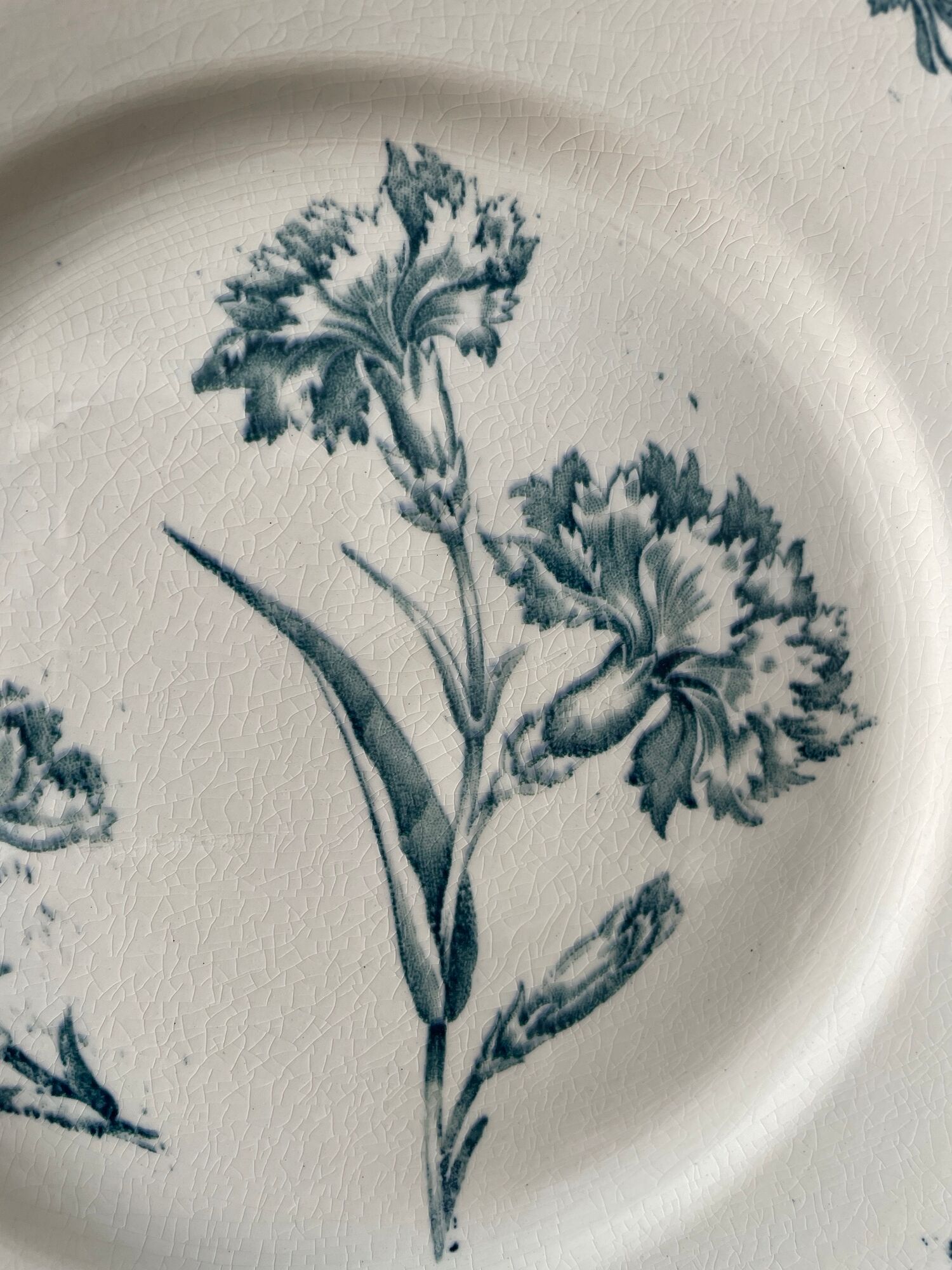 Set of 8 plates Terre de Fer 1900 K.G Lunéville, model "Carnation"