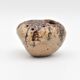Jenifer Taylor ceramist flower vase