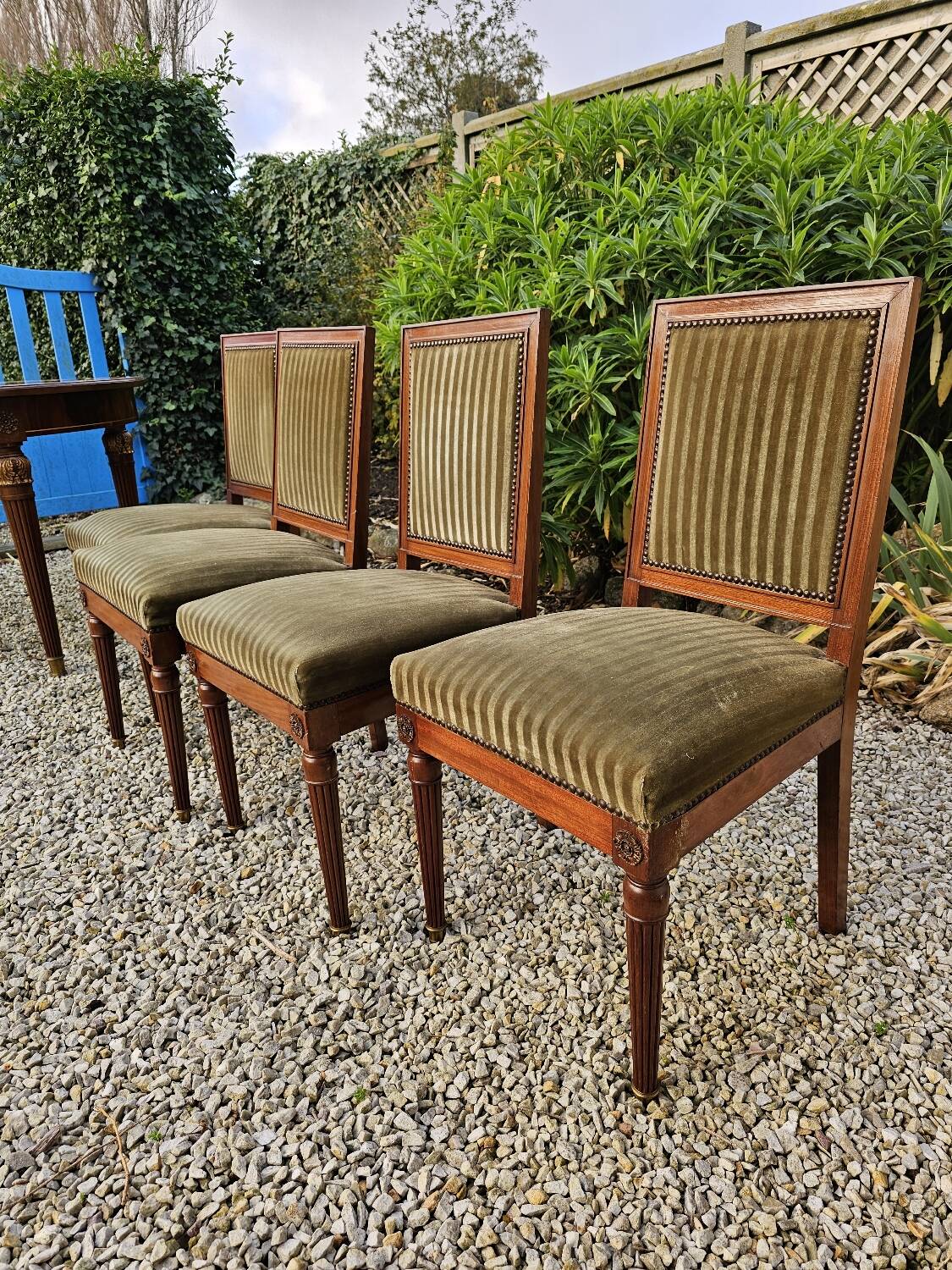 Set of 4 mahogany and velvet chairs