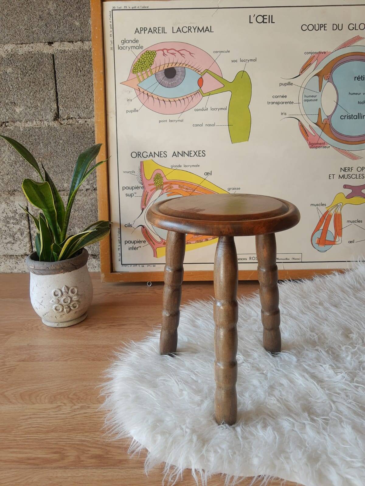 Ancien tabouret de ferme, campagne en bois tripode