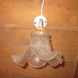 Wall light gooseneck 20-30 years