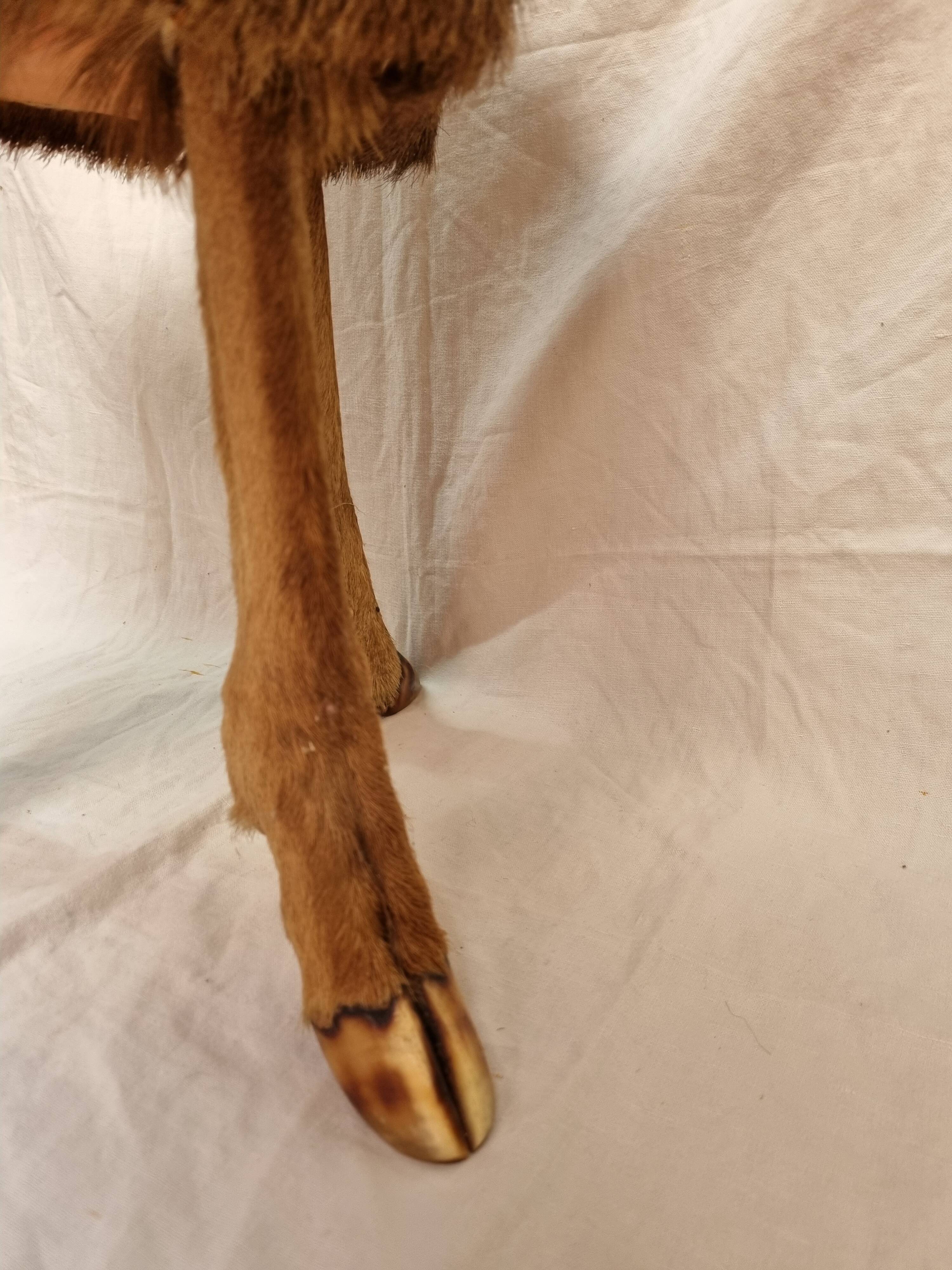 Tripod stool brutalist deer from 1970