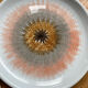 Dessert plates sea urchin saint amand by 8