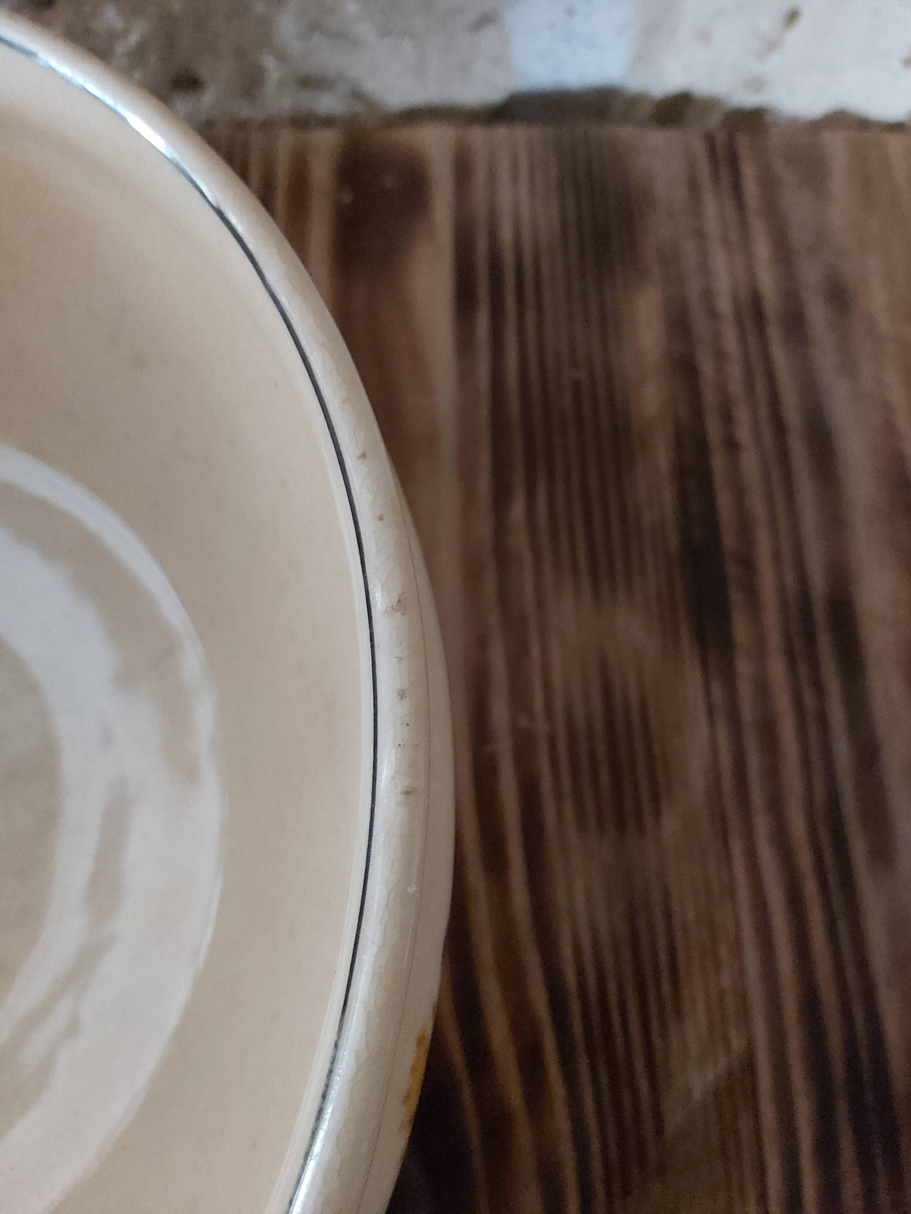 Salad bowl Creil and Montereau pattern Carnations