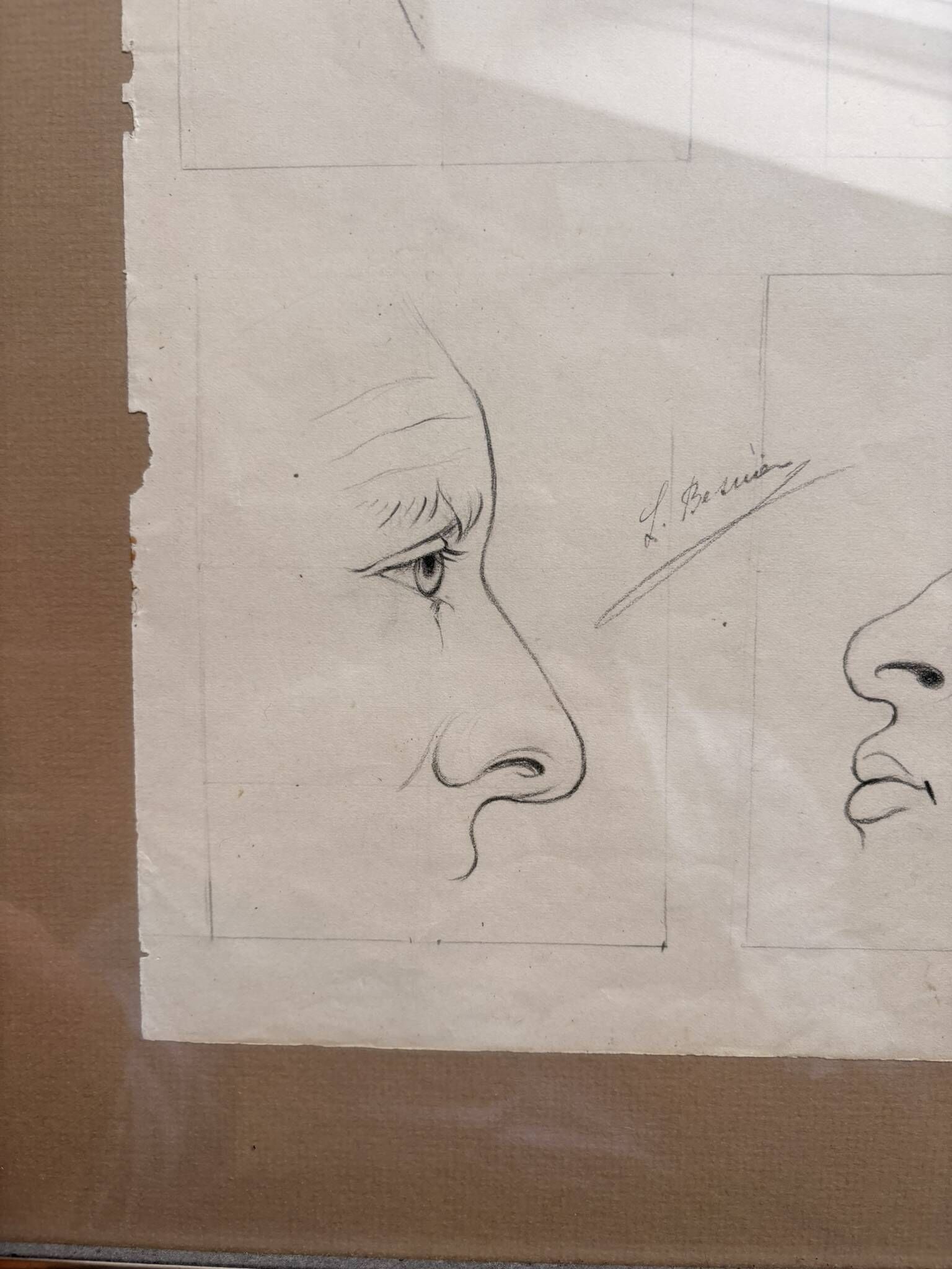 Old Engraving 19th Century Framed Anatomy Nose Mouth Plate Head Morphology