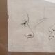 Old Engraving 19th Century Framed Anatomy Nose Mouth Plate Head Morphology
