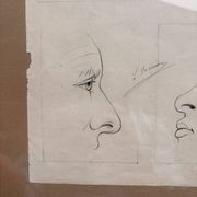 Old Engraving 19th Century Framed Anatomy Nose Mouth Plate Head Morphology