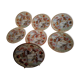7 porcelain plates 15.5 cm