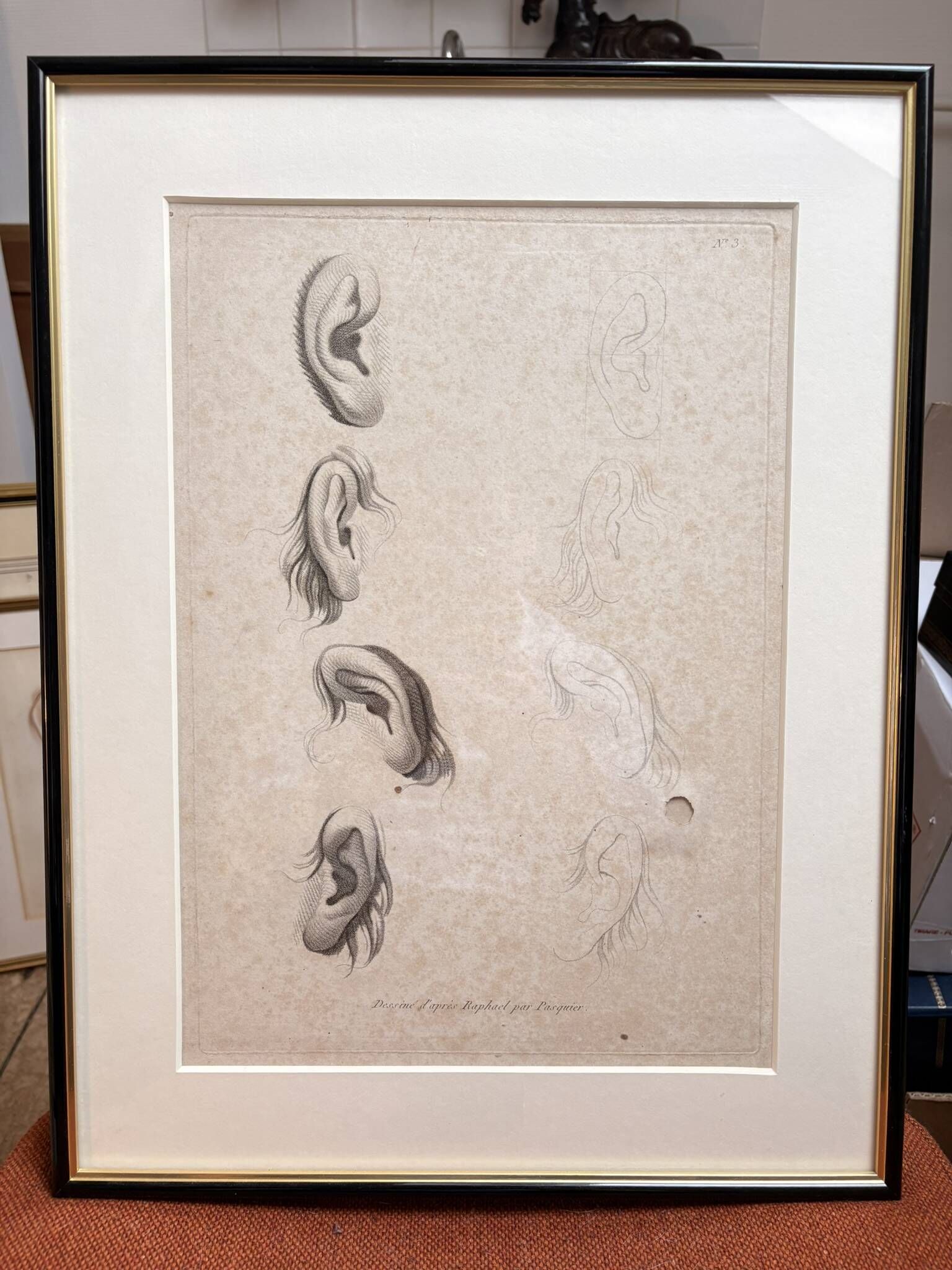 Old Print Engraving 19th Century Study of an Ear Sketch After Raphael Pasquier
