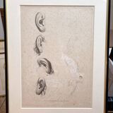 Old Print Engraving 19th Century Study of an Ear Sketch After Raphael Pasquier