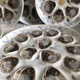 Saint Amand earthenware oyster set: tray and six plates