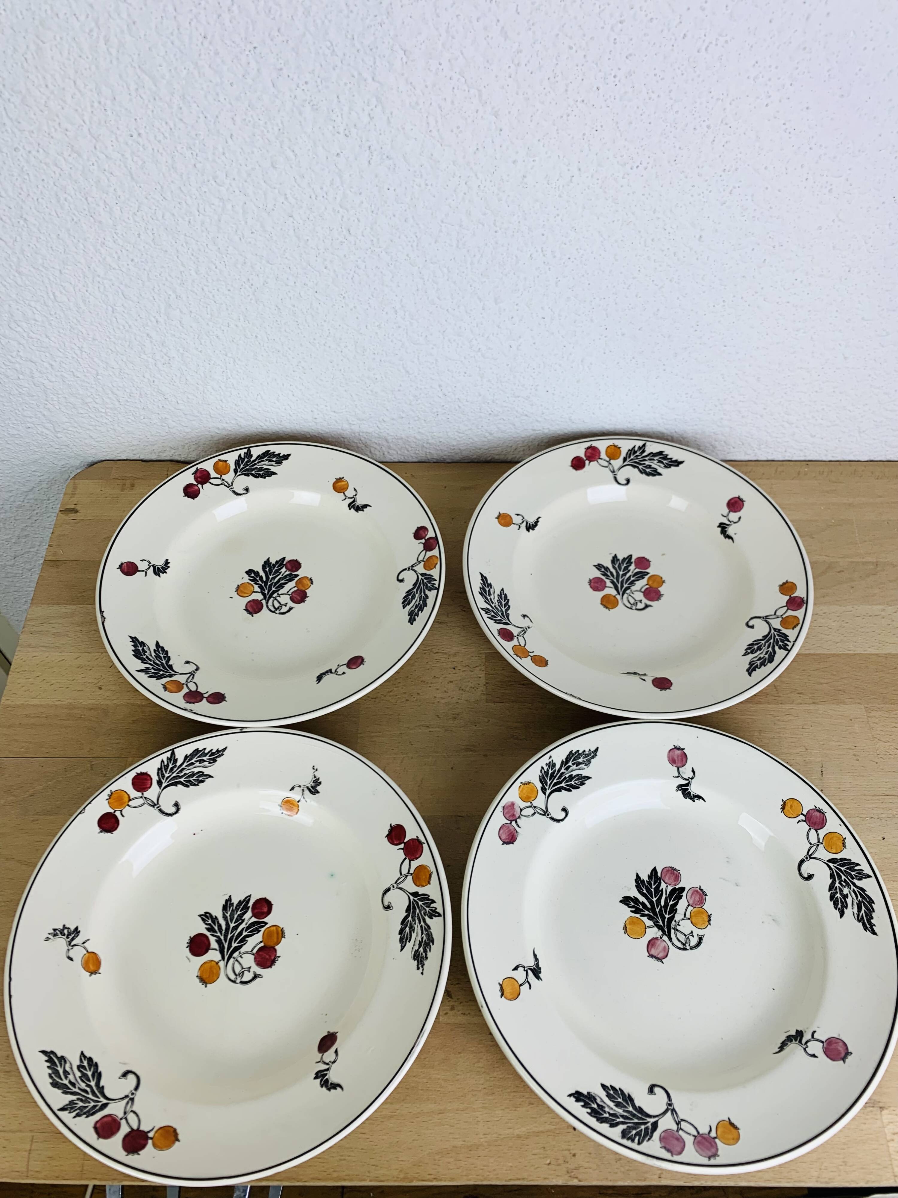 4 Longchamp iron earth soup plates, Aubépine model