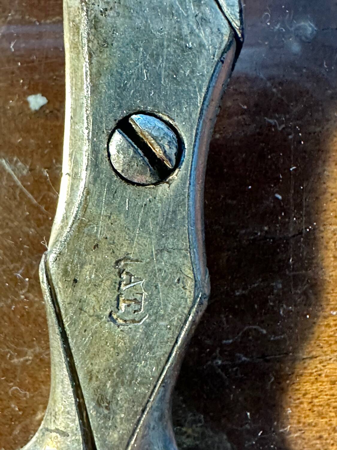 Pair of Antique Silver Grape Scissors