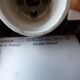 Pair of Europhane disco wall lamps