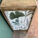 Commode vintage années 50 mobilier du Havre