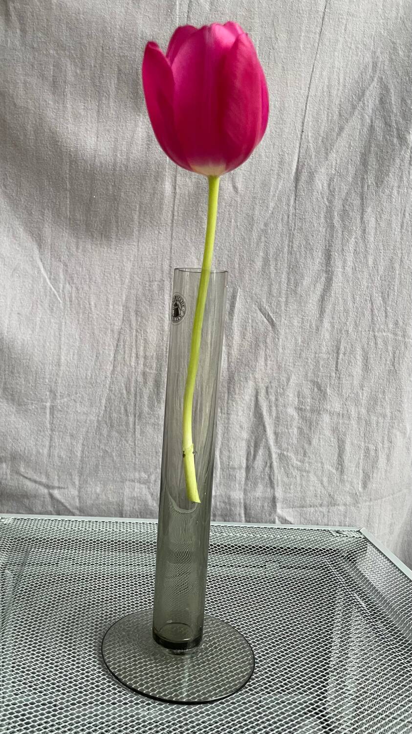 Old transparent soliflore tube vase