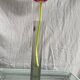 Old transparent soliflore tube vase