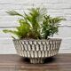Mid century planter plant pot for the garden