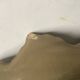 Ceramic leaf pocket emptier