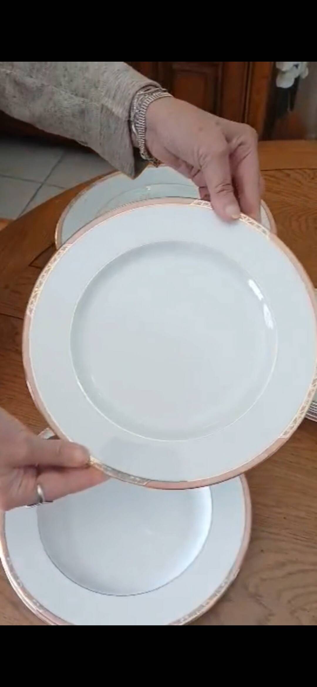 Service of 22 flat plates and 6 deep plates "Auray" - Philippe Deshoulières