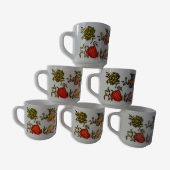 6 mugs légumes Arcopal France