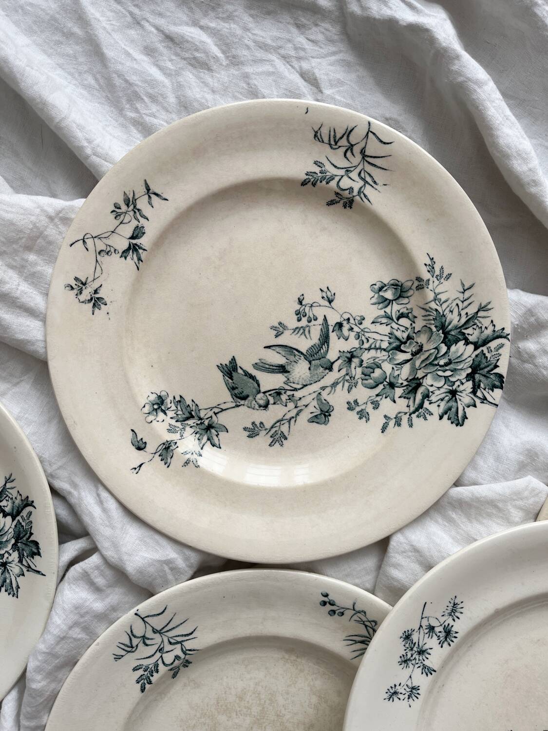 5 “Mignon” Longwy ironstone flat plates