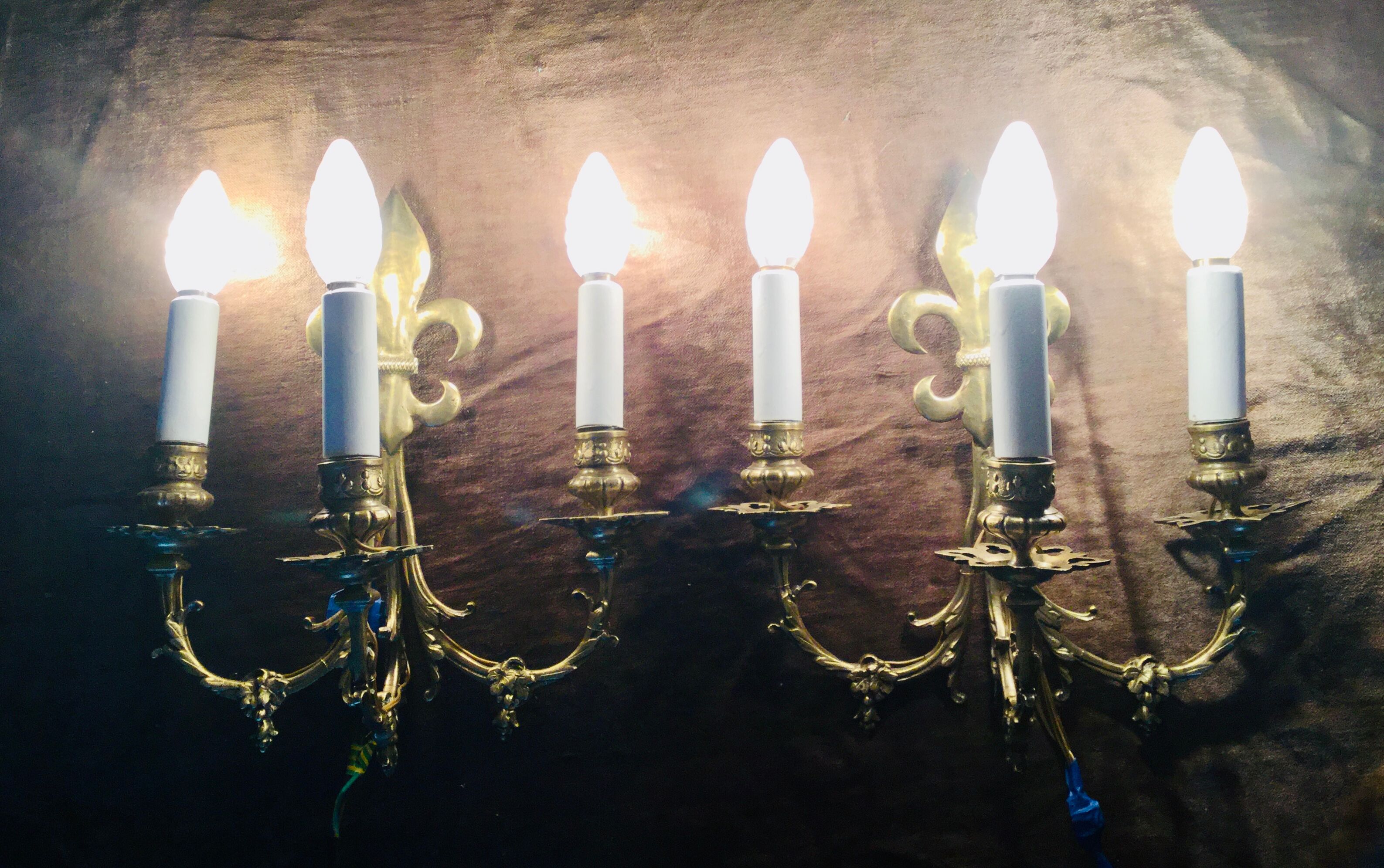 Pair of sconces flowers of lys bronze 3 lights