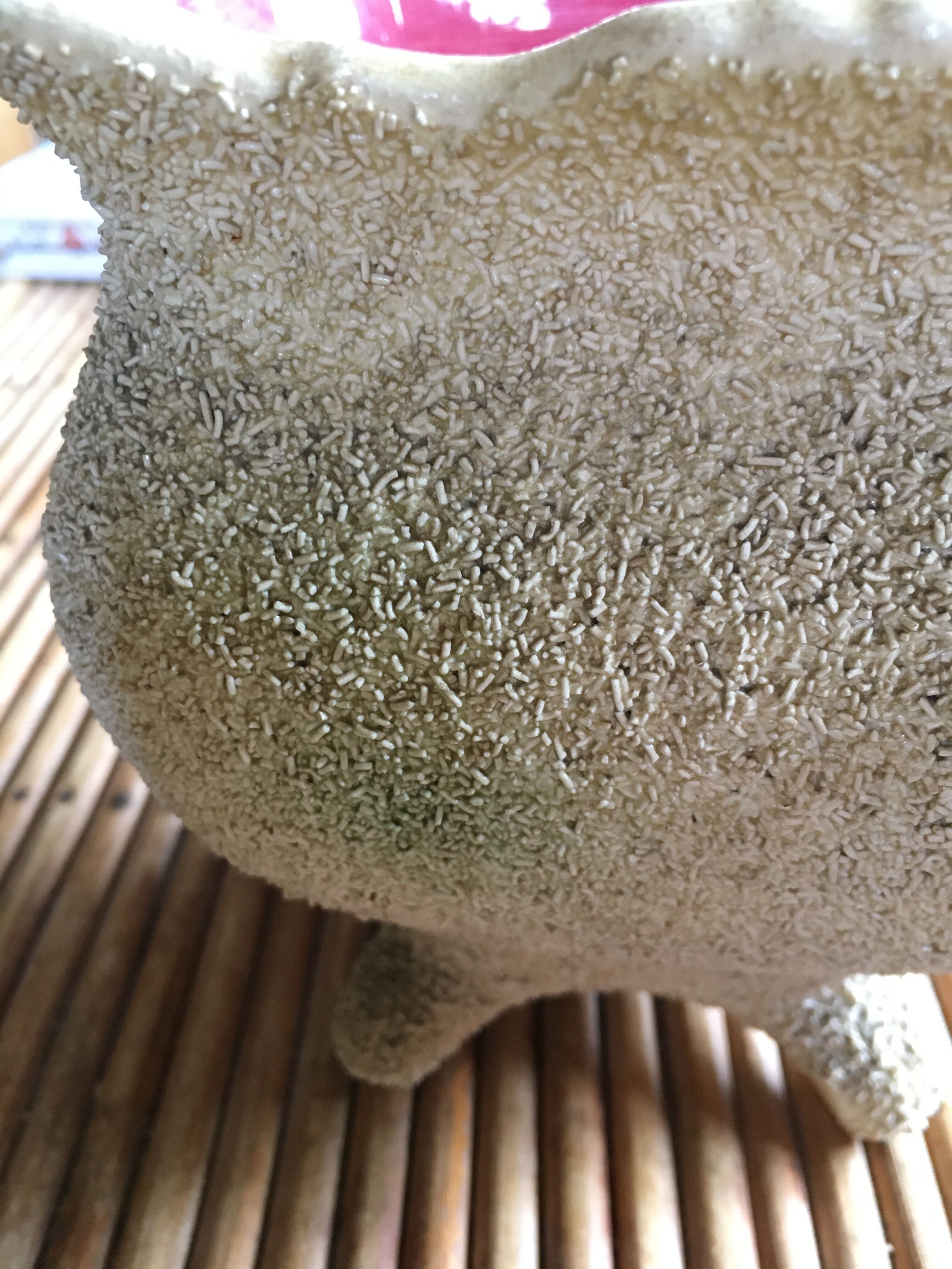 Cache pot in dabbling