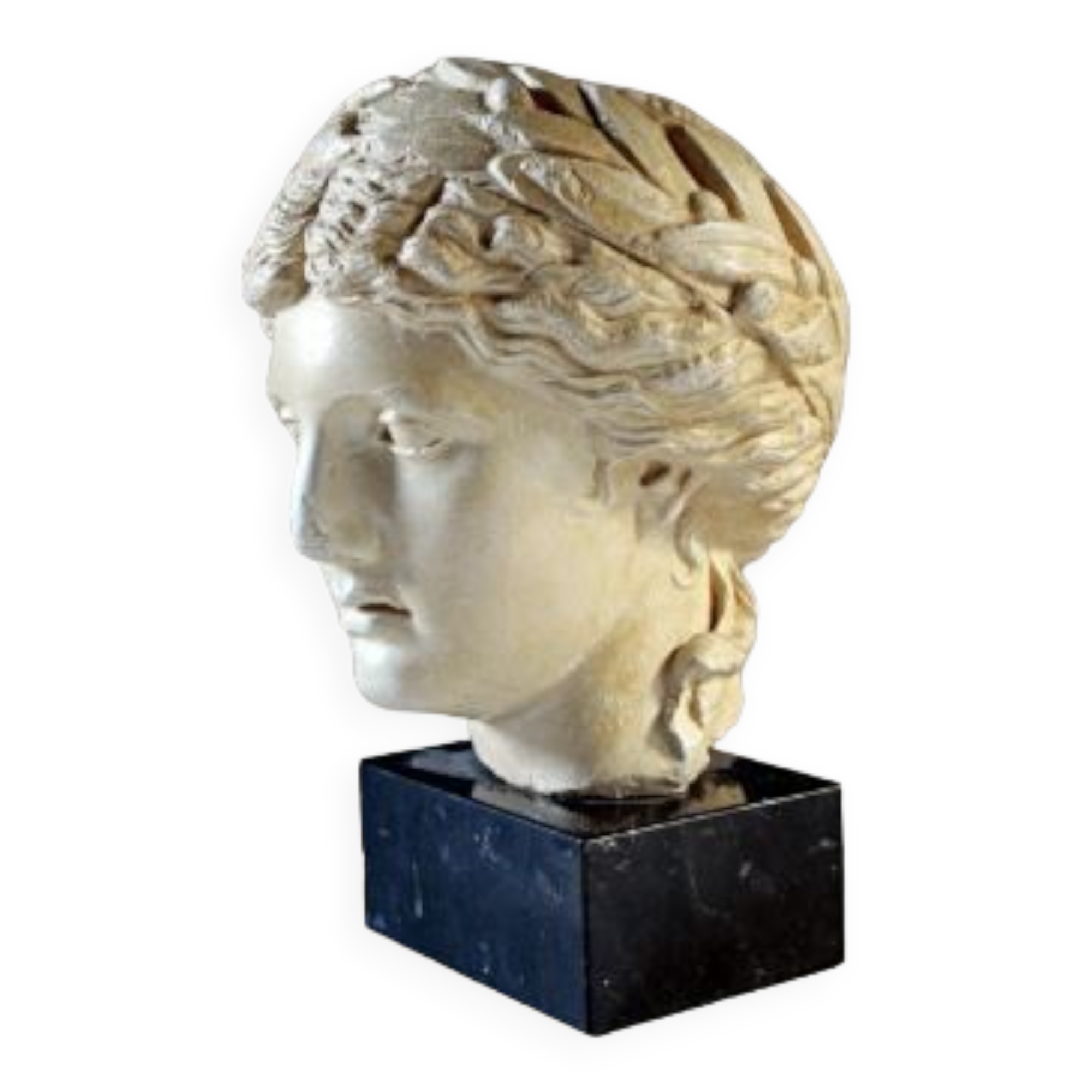 reproduction of the laureate Apollo head from Vaison-la-Romaine