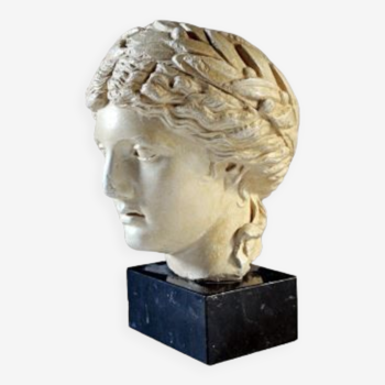 reproduction of the laureate Apollo head from Vaison-la-Romaine