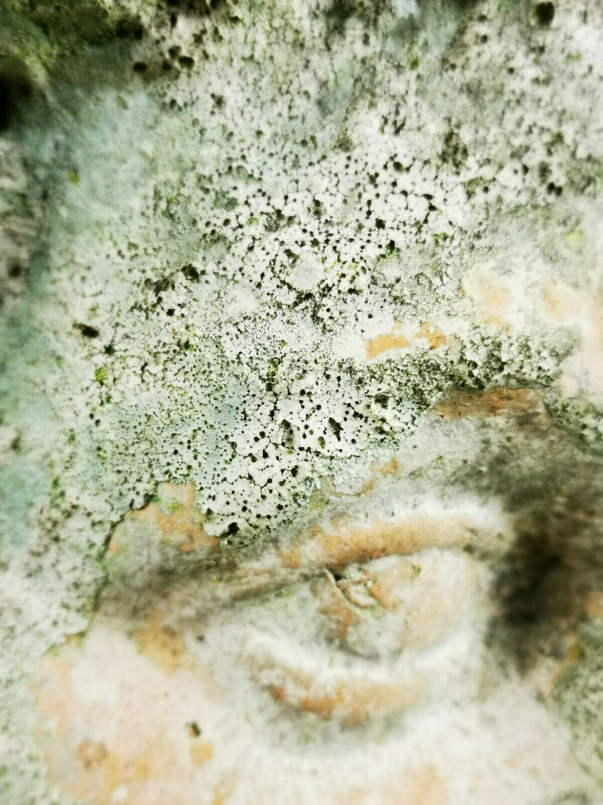 Antique 19th/20th century substantial terracotta Roman Michelangelo David Bust