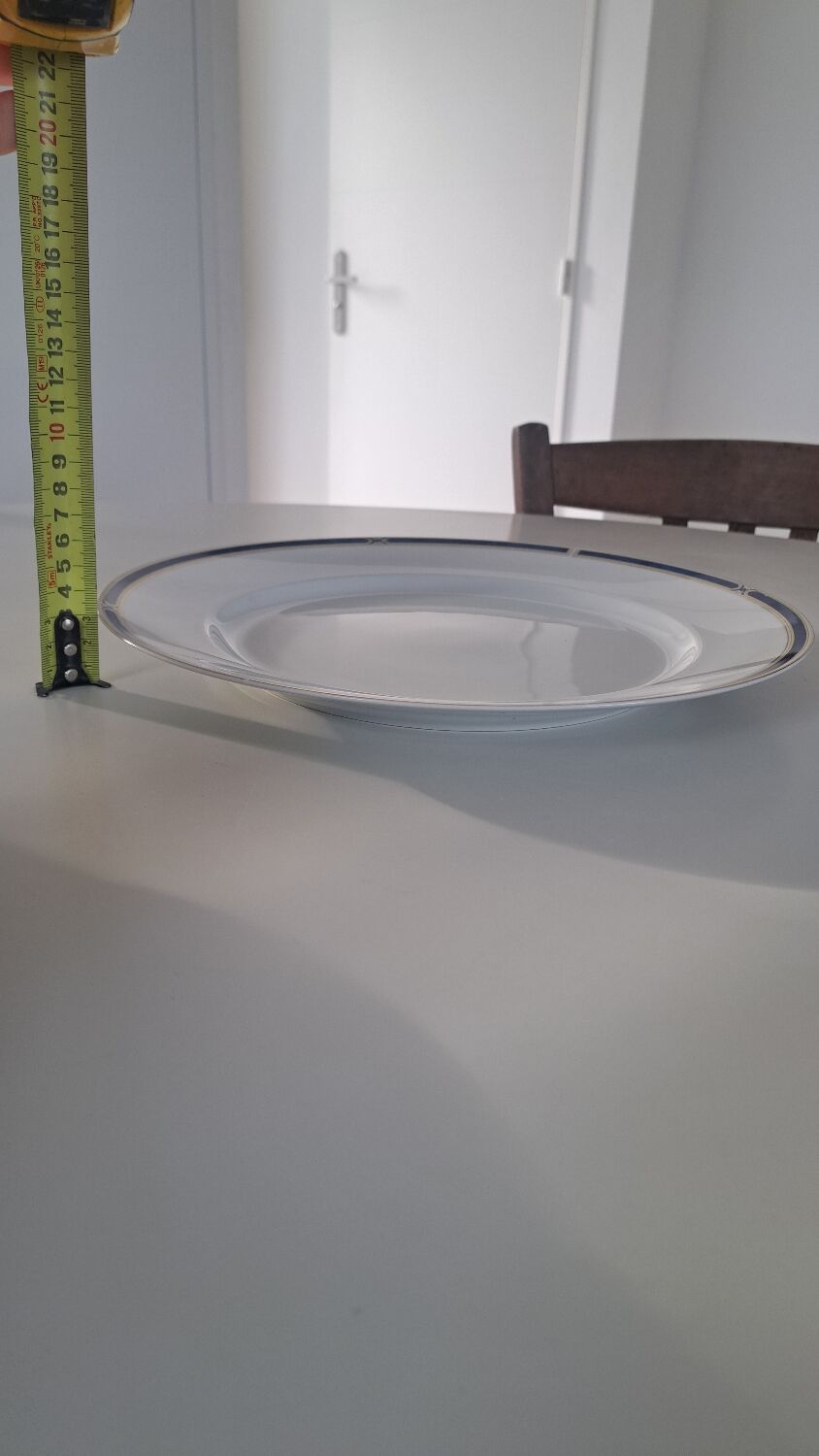 Soup tureen + Haviland plate