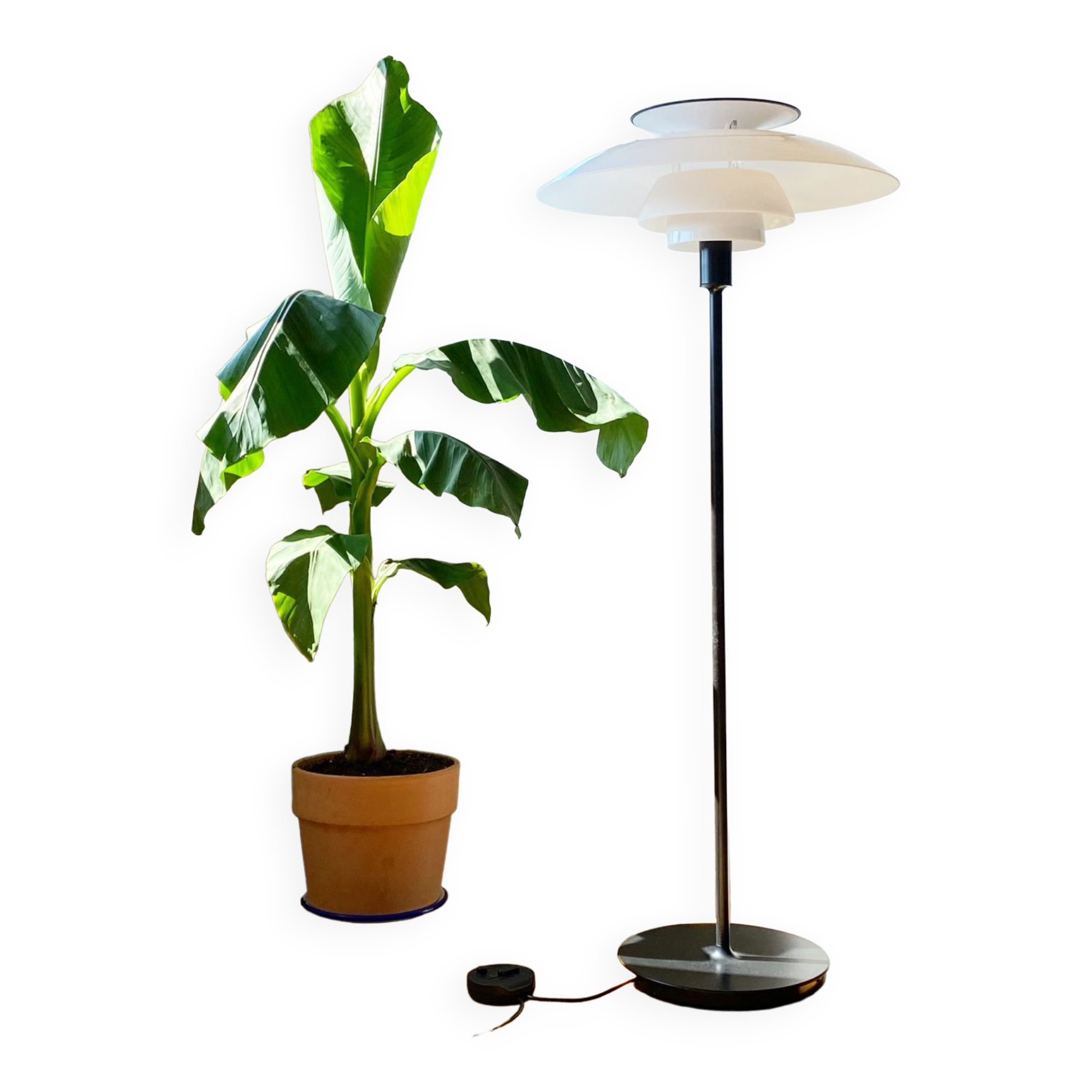 Ph80 floor lamp by Louis Poulsen