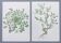 Lot of 2 vintage botanical illustrations from 1978 - including Stellaire - plant and herb plates