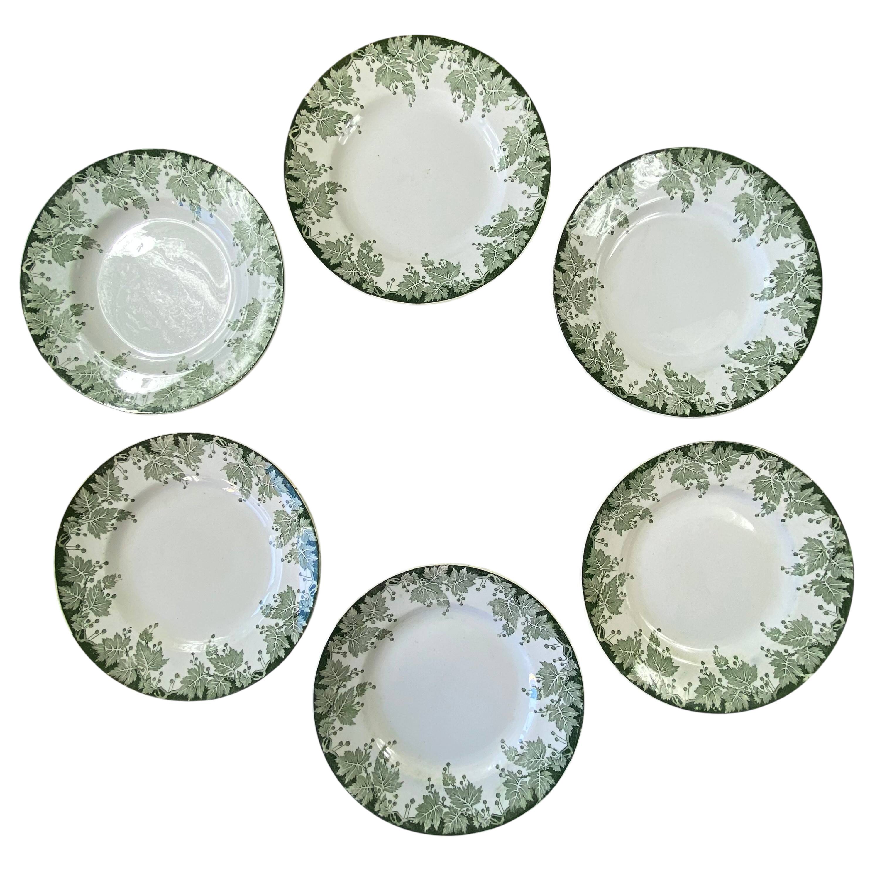 6 flat plates in ironstone from Saint Amand and Hamage, Platane green model.