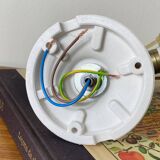 Swan neck wall light in brass with rose petal glass shade.