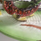 Service poisson