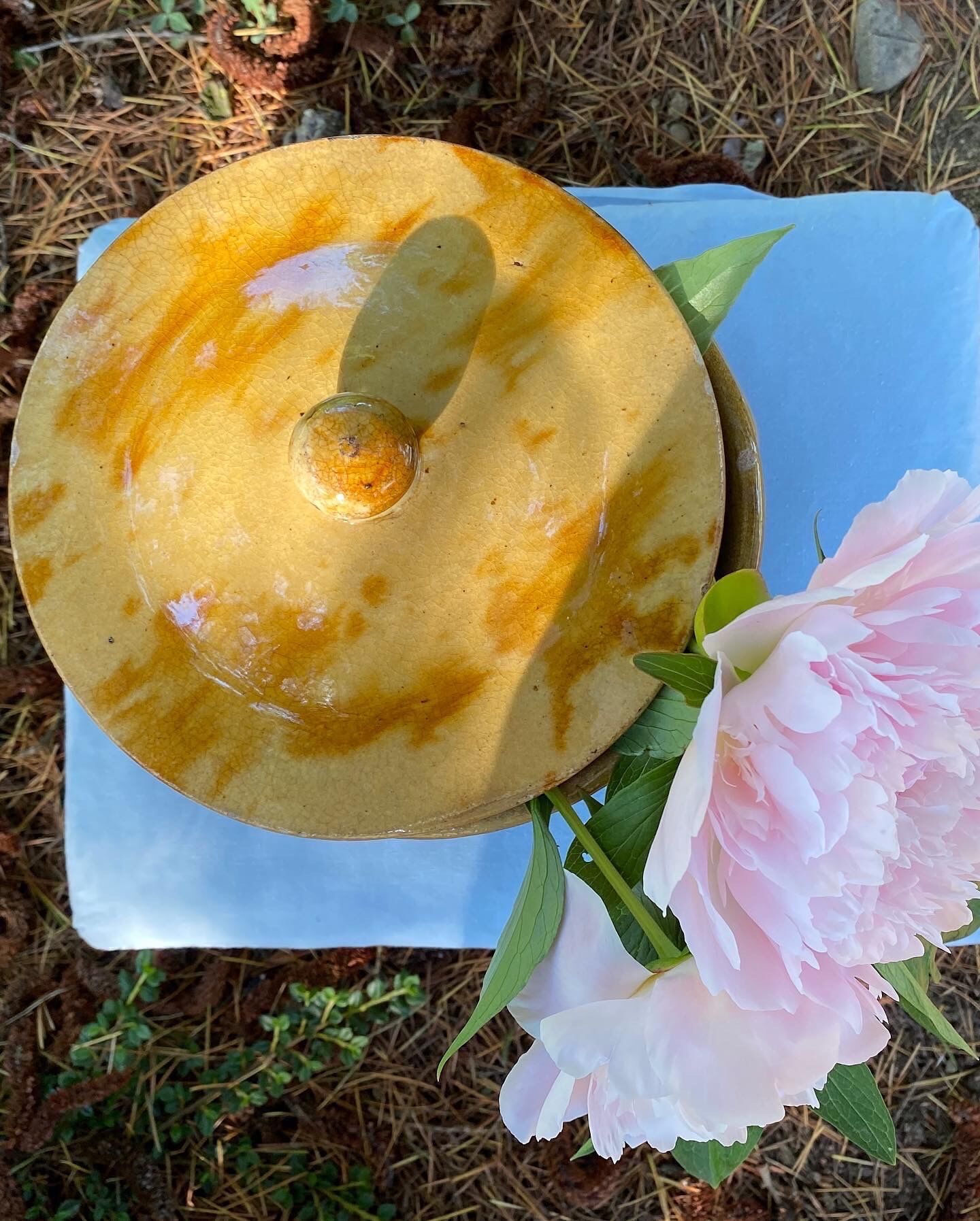 Old glazed terracotta vegetable