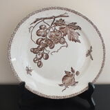 Round dish n°3 Choisy le Roi en Terre de Fer decoration fruits and insects