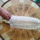 Art Deco wall sconces Murano glass Barovier & Toso