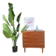 Small mid-century modern chest of drawers with four drawers – Scandinavian design in teak, 1960s